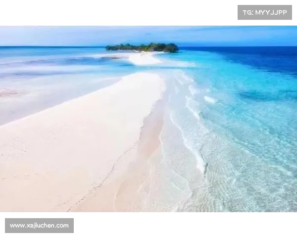 鹤观岛不为人知的隐秘美景 探秘那些未被打扰的自然天堂